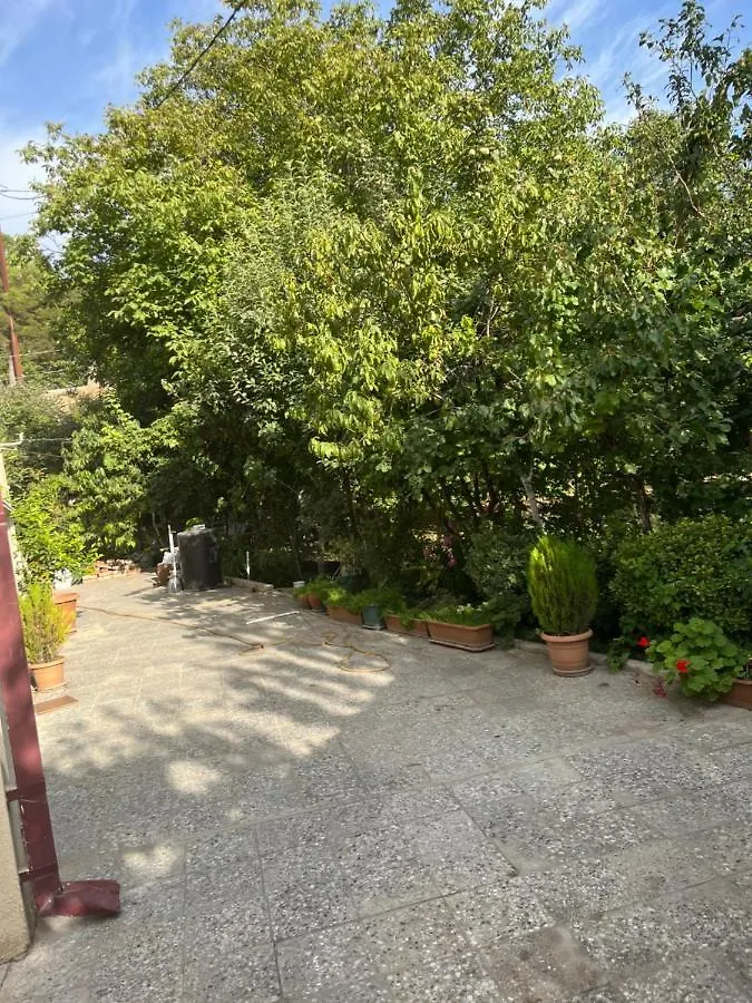 Cozy Space In Tbilisi